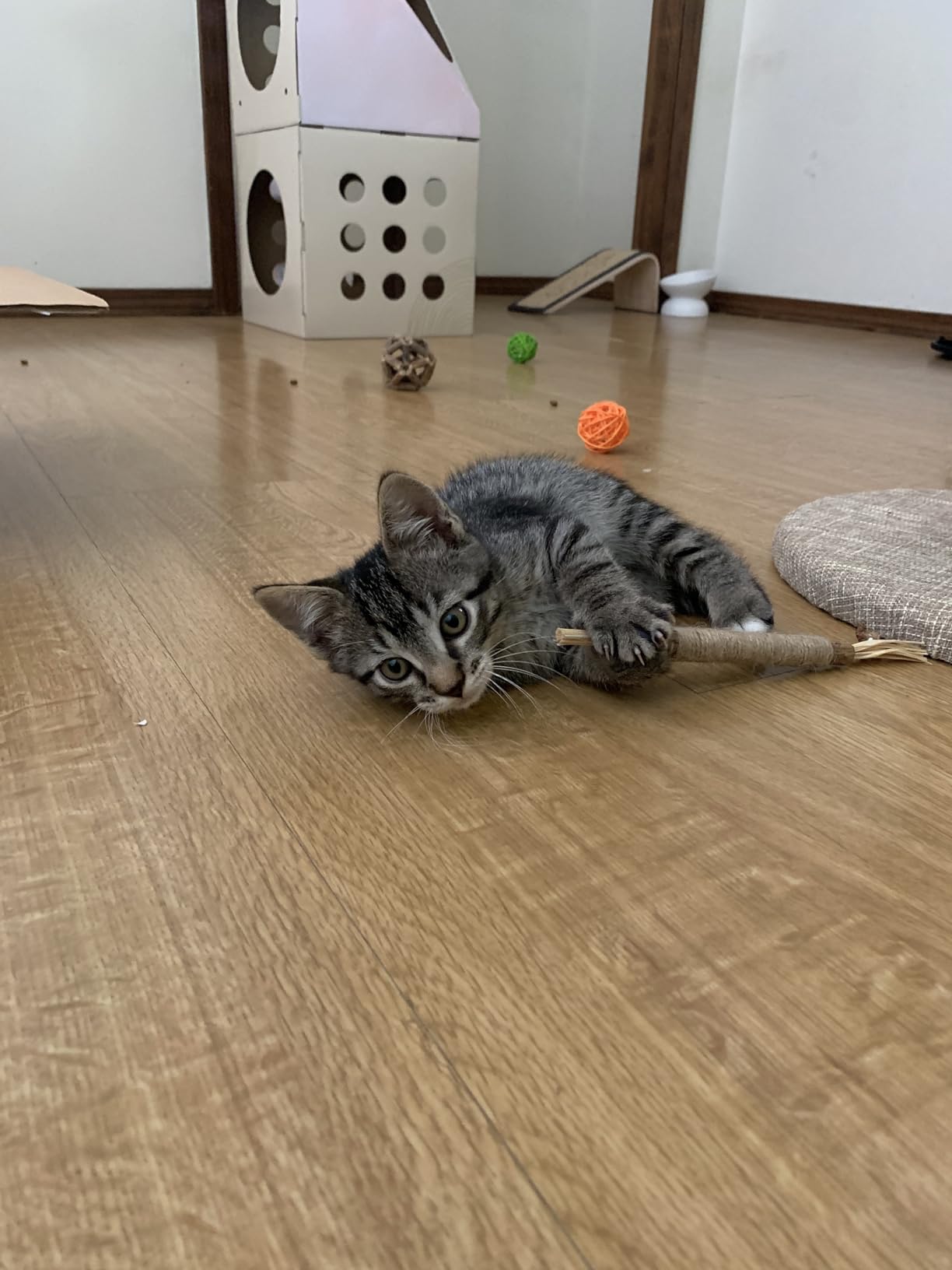 Customer before and after 2