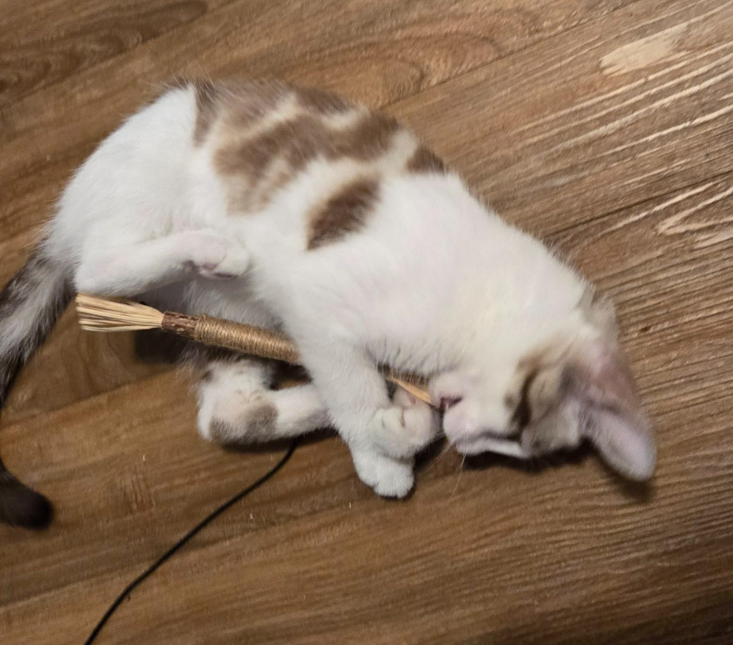 Customer before and after 3