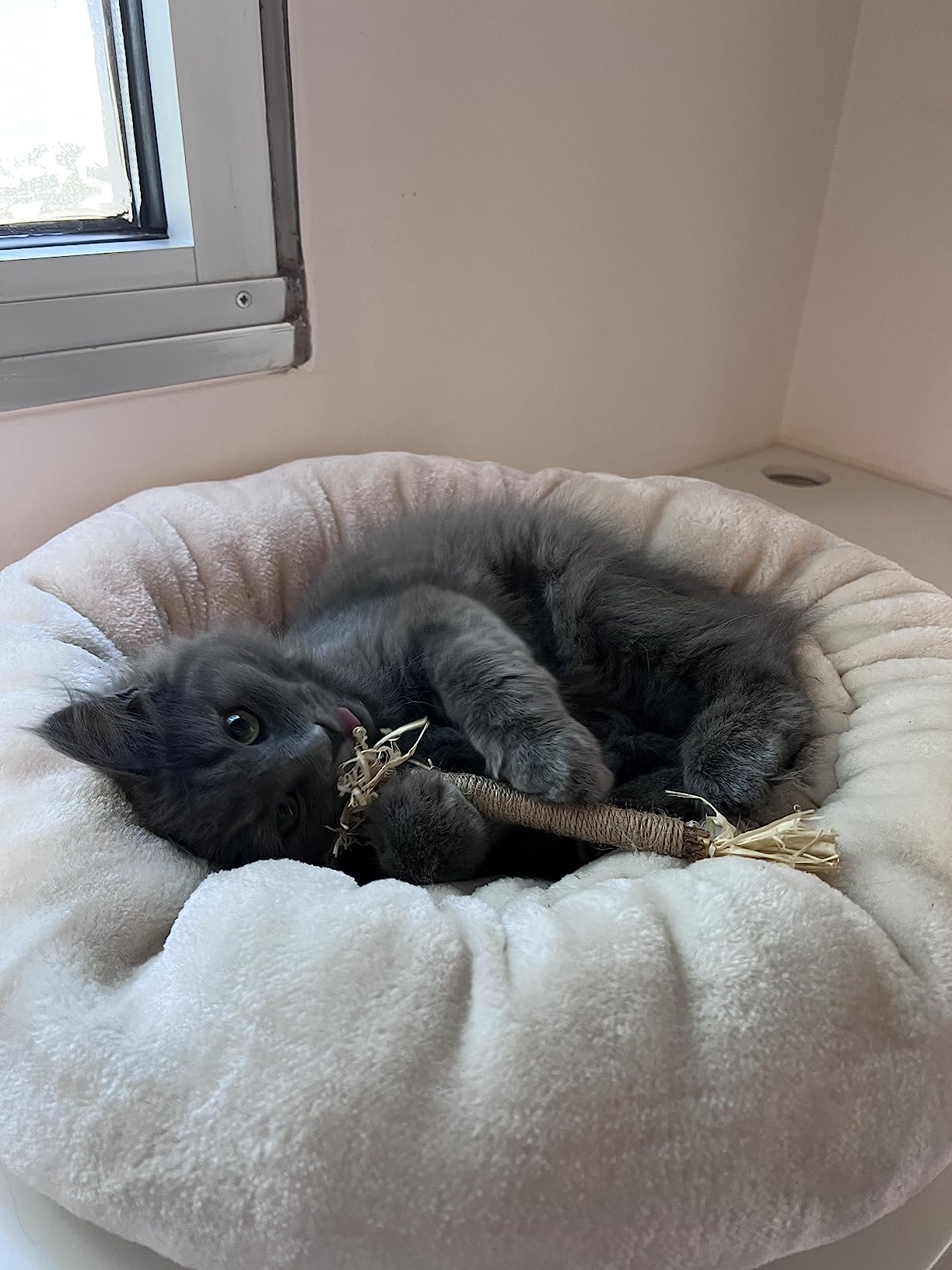 Customer before and after 4