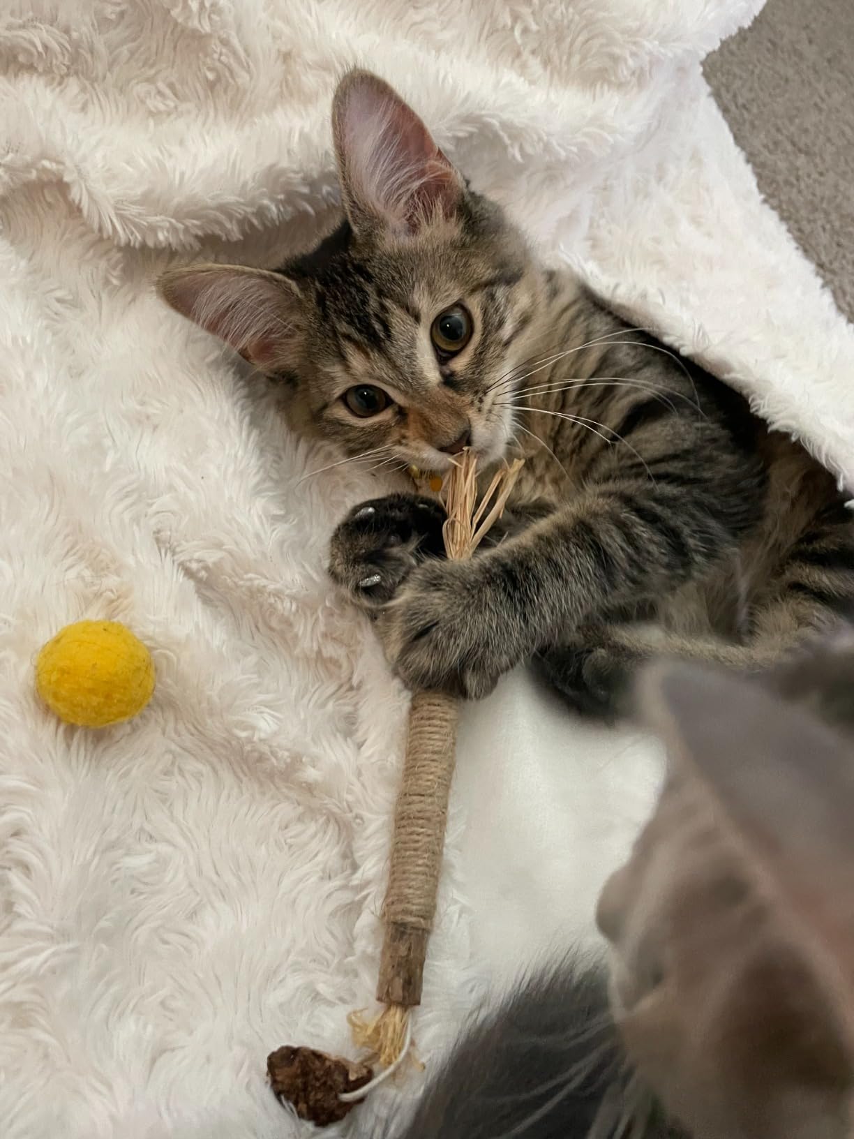 Customer before and after 5